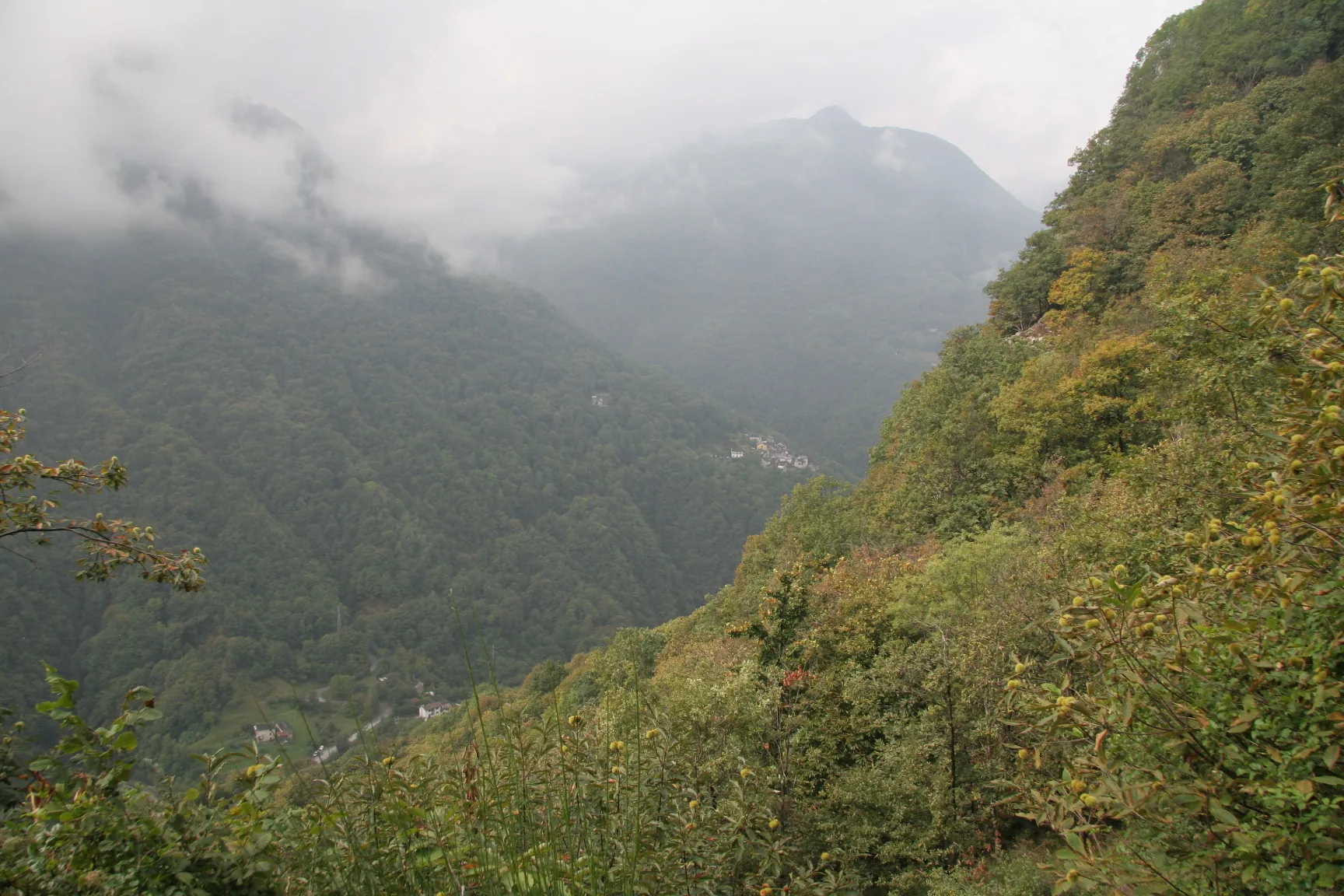 I versanti boscosi della Valle Cannobina con le nuvole basse sulle montagne